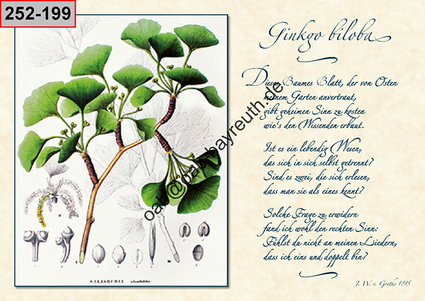 %_tempFileName254-199%