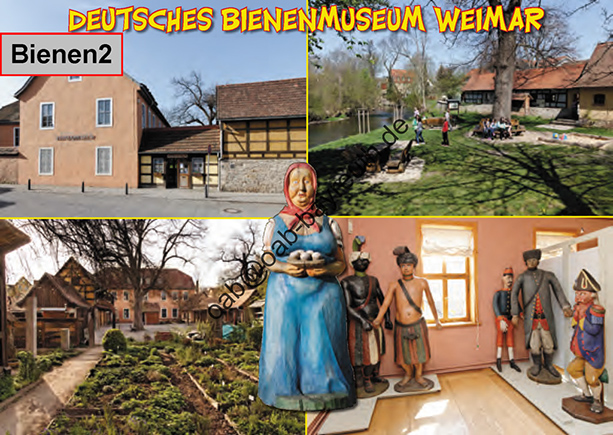 %_tempFileName254-bienen2%