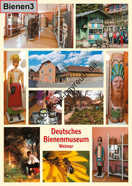 %_tempFileName254-bienen3%