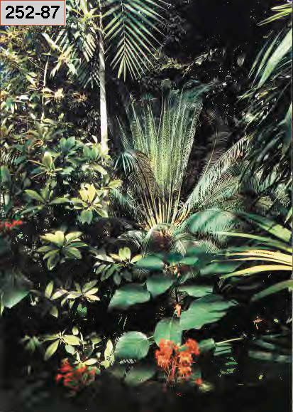 %_tempFileNameJena_Bot%20Garten_Seite_06%