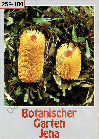 %_tempFileNameJena_Bot%20Garten_Seite_10%