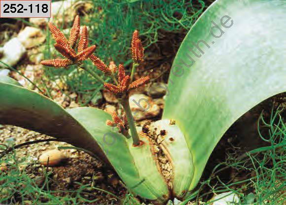 %_tempFileNameJena_Bot%20Garten_Seite_13%