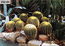 %_tempFileNameJena_Bot%20Garten_Seite_04%