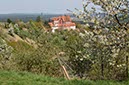 IMG_2234