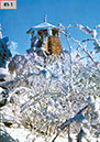 %_tempFileNameBischofsgruen_Winter_Seite_02%