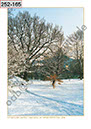 %_tempFileNameJena_Winter_Seite_05%