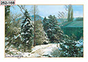 %_tempFileNameJena_Winter_Seite_08%