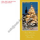 Schwarzenbach-Wald_Winter_Seite_3